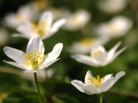 /album/fotogalerie/pict0568-jpg/