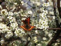 /album/fotogalerie/pict0557-jpg/